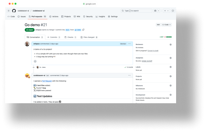 Go Unit Test - CodeBeaver comment example screenshot